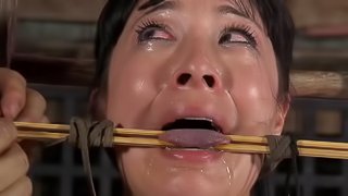 Skillful master makes a brunette chick's pussy dripping wet